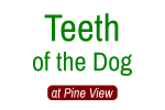 Teeth of the Dog @ Pine View LoGo